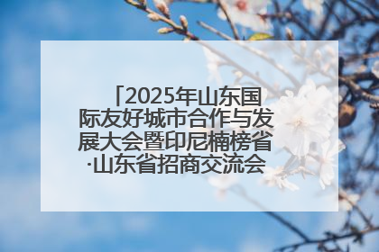 2025年山东国际友好城市合作与发展大会暨印尼楠榜省·山东省招商交流会在济南槐荫举行