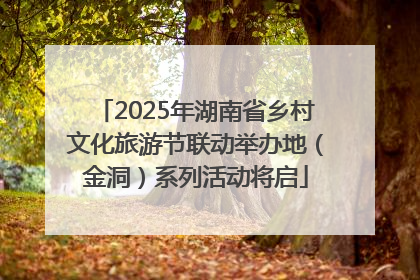 2025年湖南省乡村文化旅游节联动举办地（金洞）系列活动将启