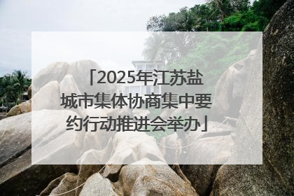 2025年江苏盐城市集体协商集中要约行动推进会举办