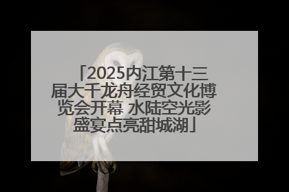 2025内江第十三届大千龙舟经贸文化博览会开幕 水陆空光影盛宴点亮甜城湖