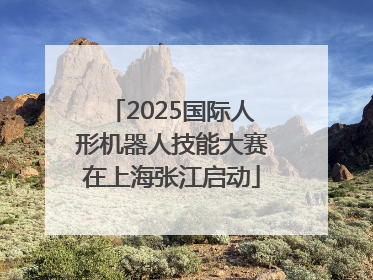 2025国际人形机器人技能大赛在上海张江启动