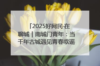 2025好网民·在聊城｜南城门青年：当千年古城遇见青春歌谣 一湖碧水见证的“聊城式浪漫”