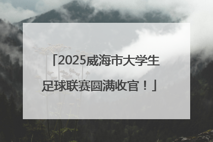 2025威海市大学生足球联赛圆满收官！