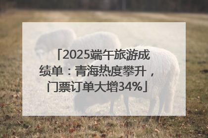 2025端午旅游成绩单：青海热度攀升，门票订单大增34%