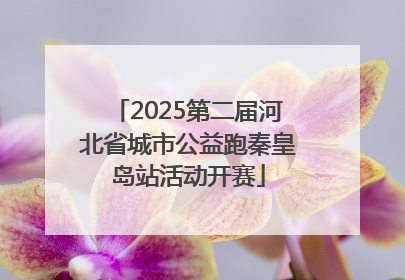 2025第二届河北省城市公益跑秦皇岛站活动开赛