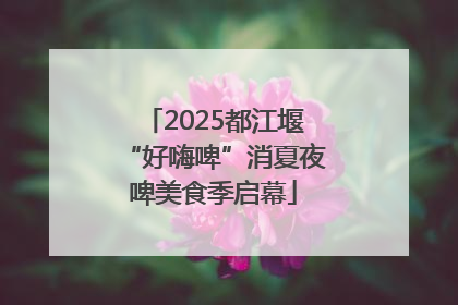 2025都江堰“好嗨啤”消夏夜啤美食季启幕
