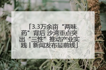 3.3万余亩“两味药”背后 沙湾重点突出“三性”推动产业实践丨新闻发布最前线