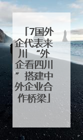 7国外企代表来川 “外企看四川”搭建中外企业合作桥梁