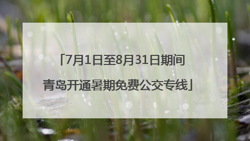 7月1日至8月31日期间 青岛开通暑期免费公交专线