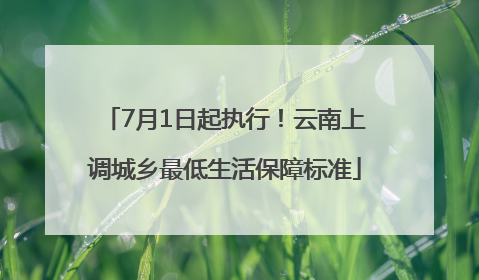 7月1日起执行！云南上调城乡最低生活保障标准