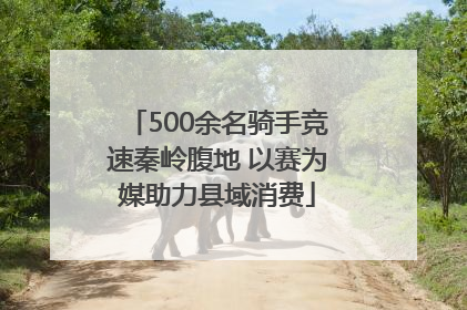 500余名骑手竞速秦岭腹地 以赛为媒助力县域消费
