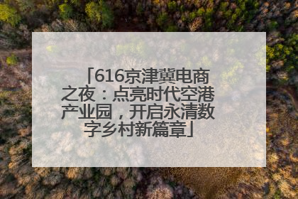 616京津冀电商之夜：点亮时代空港产业园，开启永清数字乡村新篇章