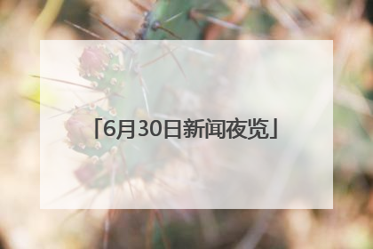 6月30日新闻夜览