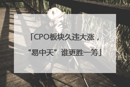 CPO板块久违大涨，“易中天”谁更胜一筹
