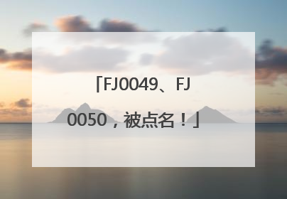 FJ0049、FJ0050，被点名！