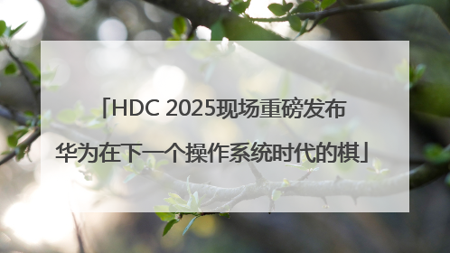 HDC 2025现场重磅发布华为在下一个操作系统时代的棋